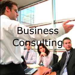 Business Consulting