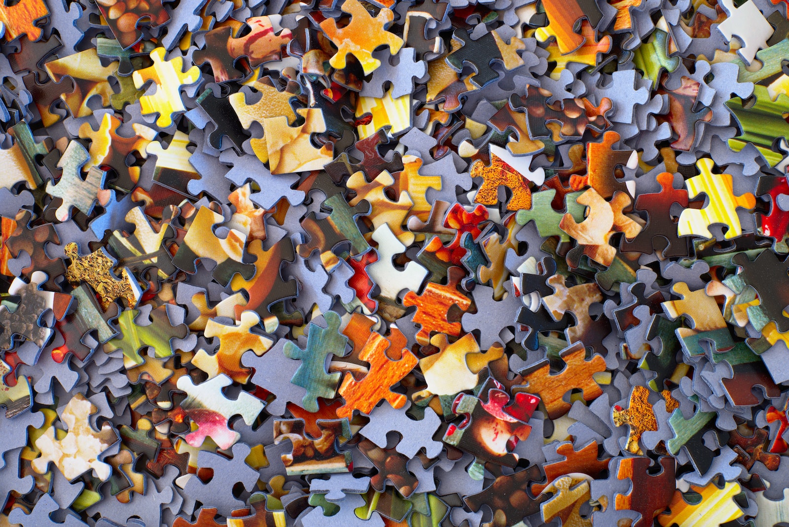 The Ultimate Guide to Choosing and Using SEO Software for Your Business