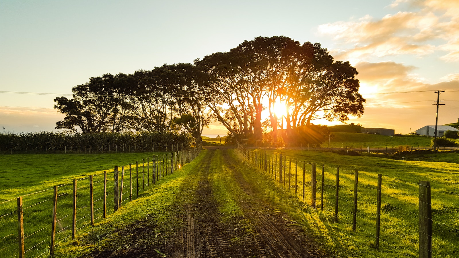 Navigating the Digital Marketing Landscape for Optimal Results